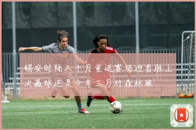 锡安时隔八个月重返赛场迎首胜上次赢球还是今年三月对森林狼
