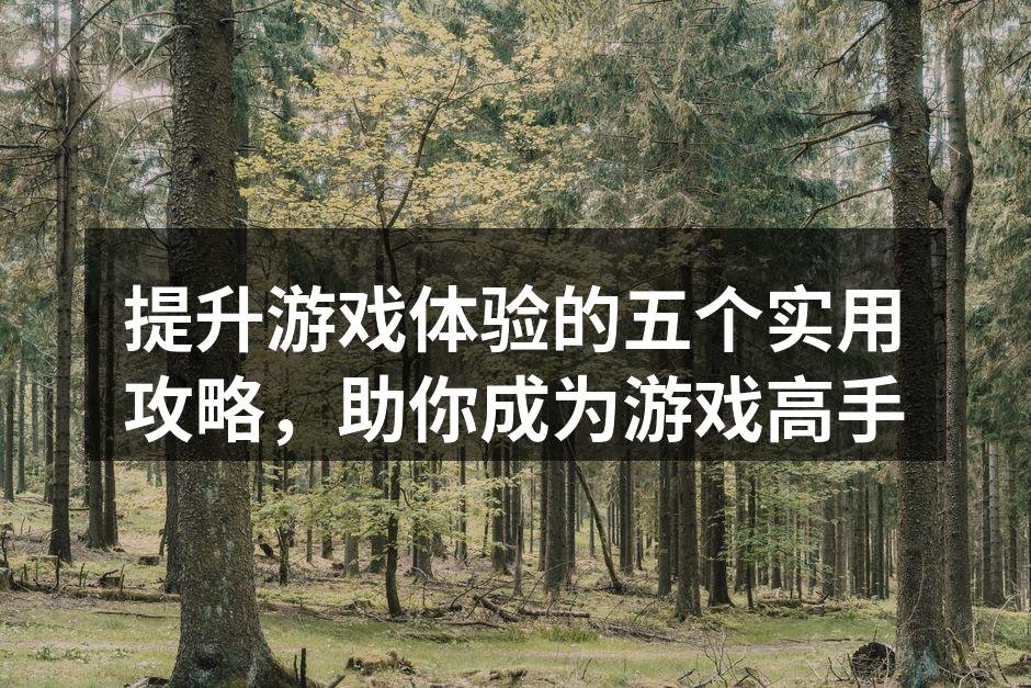 提升游戏体验的五个实用攻略，助你成为游戏